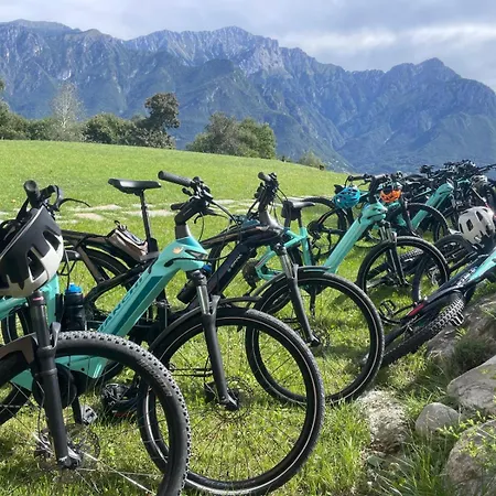 Apartament - Treeb Tivano