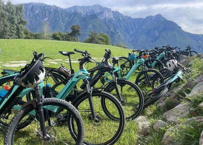 Апартаменты - Treeb Tivano